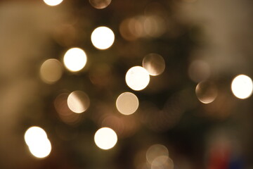 Christmas rose, gold, mood, atmosphere, family, Christmas decorations, flower, Christmas tree, bokeh-effect