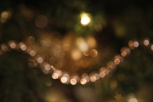 Christmas rose, gold, mood, atmosphere, family, Christmas decorations, flower, Christmas tree, bokeh-effect