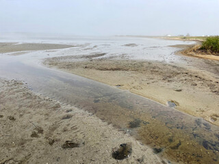 Vladivostok, Akhlestysheva Bay on Russkiy Island near the city beach in autumn in the fog