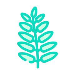 royal fern tropical leaf color icon vector. royal fern tropical leaf sign. isolated symbol illustration