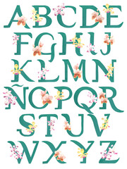 Philippine vanda orchid alphabet poster in teal