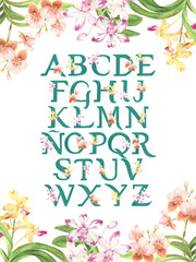 Philippine vanda orchid alphabet poster with orchid border