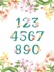 Handwritten custom Vanda orchid numbers poster with orchid border