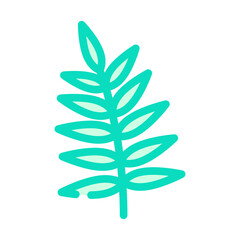 chamaedorea tropical leaf color icon vector. chamaedorea tropical leaf sign. isolated symbol illustration