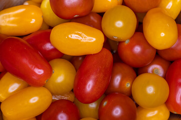 tło z kolorowych pomidorków koktajlowych w kolorze czerwonym i żółtym