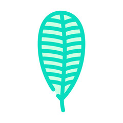 plumeria tropical leaf color icon vector. plumeria tropical leaf sign. isolated symbol illustration