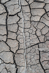 The ground has cracks in the photo from above for a background or graphic design with the concept of drought and death.
