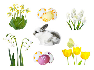 Little spotty rabbit, painted easter eggs, snowdrop, muscari, cowslip, tulip flowers and butterfly...