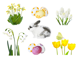 Little spotty rabbit, painted easter eggs, snowdrop, muscari, cowslip, tulip flowers and butterfly isolated trandparent png