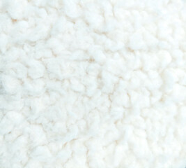 white wool texture beautiful abstract fur background