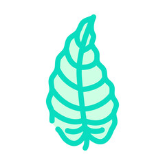Fototapeta na wymiar philodendron tropical leaf color icon vector. philodendron tropical leaf sign. isolated symbol illustration