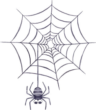 蜘蛛の巣と糸からぶら下がる蜘蛛のイラスト
