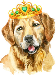 Watercolor portrait of golden retriever dog with crown