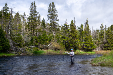 Fototapeta na wymiar A middle age female stands in a large salmon river casting a fishing rod holding line in her left hand. The blonde long haired lady is wearing a blue hat, white t-shirt, and waders fly-fishing. 
