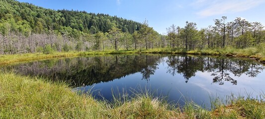 Obraz premium lake in the mountains