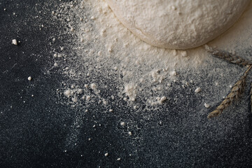 Raised piece of dough for making