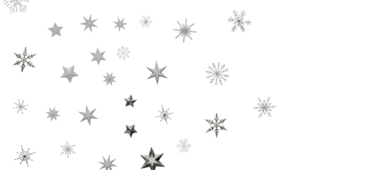 Snowflakes Falling On Snow - Winter Banner