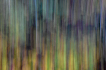 artistic image, blurred, moving camera, trees in the forest in autumn. Background