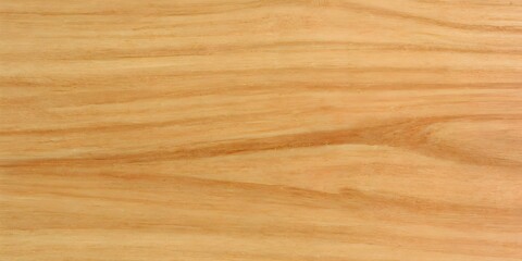 brown bark wood texture. Natural wooden background. or cutting board