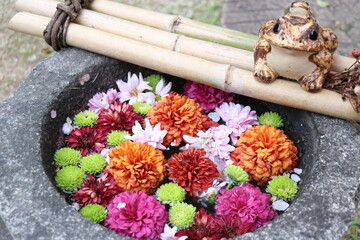 山崎八幡宮　周南市　山口県　映えスポット　花手水
