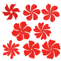 Fototapeta premium Set of red flowers
