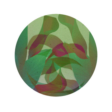 Floral round sticker with transparent background, water lily, tulip pattern, round sticker, digital illustration