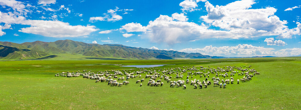 panorama of the mountains