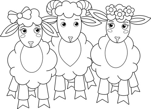 Two sheep and a ram, a herd of cute animals - a vector linear picture for coloring. Outline. A pair of sheep and a ram - characters for a children's coloring book.