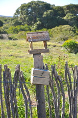 Old bird house