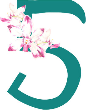 Custom hand drawn vanda orchids alphabet number 5