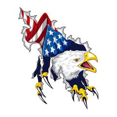 ripped american eagle design vector, white isolated background