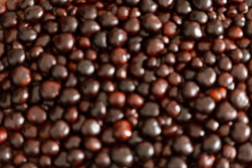 Horizontal photo of inedible Horse Chestnut out of focus in blur. Autumn background, close-up, dark shade
