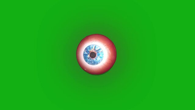 One eye looking around on a green background.
Halloween celebration. One eye looking around with key color. Chroma key, Color key background