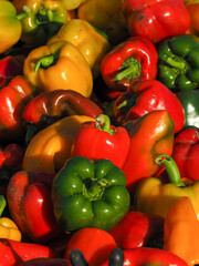colorful bell peppers for sale at a fall farmers market