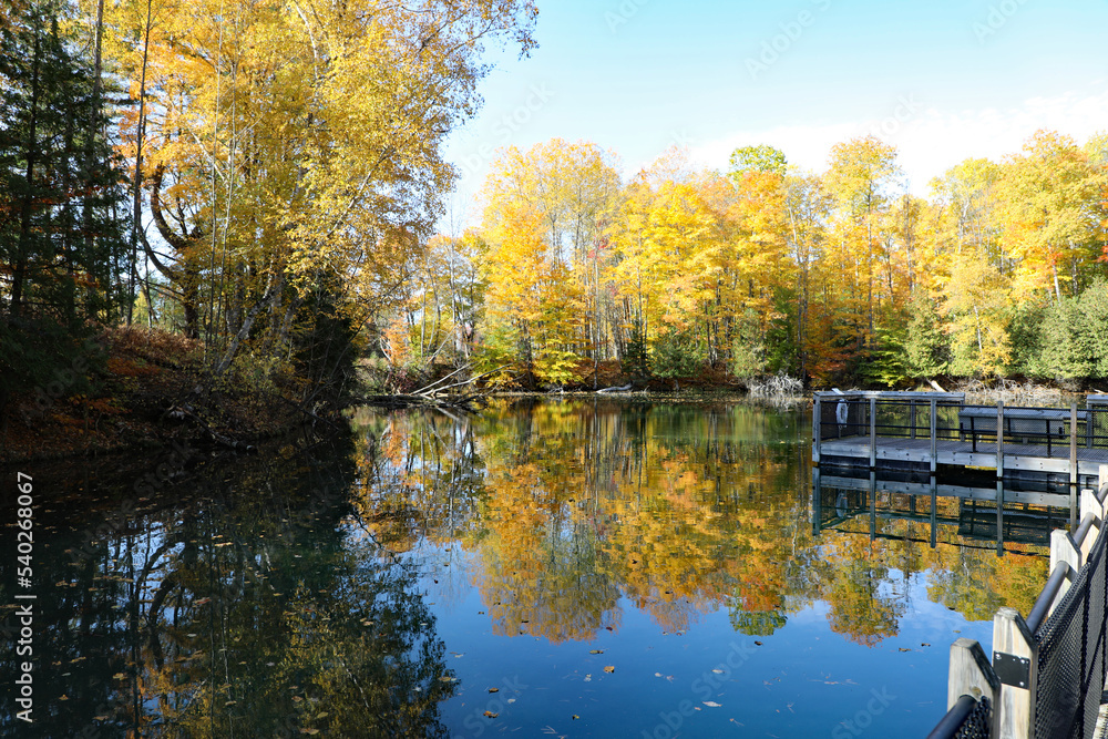 Wall mural hiking trails and a large series of freshwater ponds at the fish hatchery in northern michigan in od