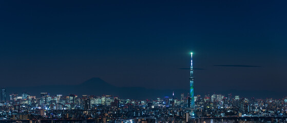 Panoramic view of greater Tokyo are city scape with Tokyo skytree at night