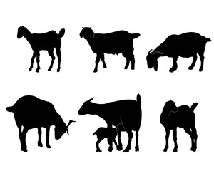 Collection of black silhouettes goats
