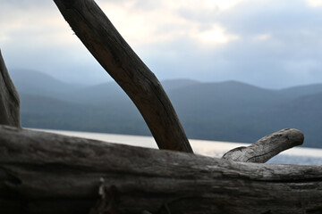 Hudson River driftwood with mountains in the background.