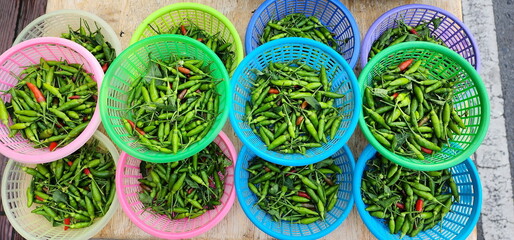 Thai pepper organically grown, small green granules and some red parts are arranged in plastic baskets in equal quantities to sell to customers in the market. Scientific name: Capsicum annuum. Spicy.
