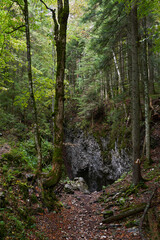 Cave entrance in the forest