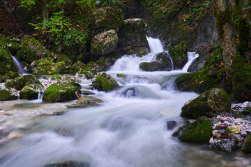 Fototapeta na wymiar River rapids in the forest
