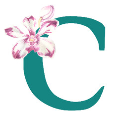 Custom hand drawn vanda orchids alphabet letter C