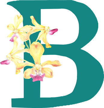 Custom hand drawn vanda orchids alphabet letter B