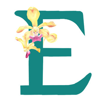 Custom hand drawn vanda orchids alphabet letter E