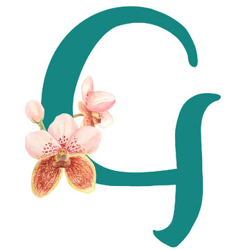 Custom hand drawn vanda orchids alphabet letter G