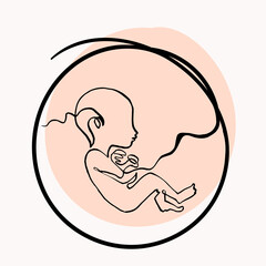 Infant in the womb, single line drawing, vector continuous line