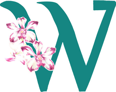 Custom hand drawn vanda orchids alphabet letter W