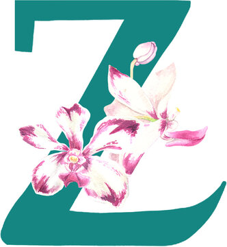 Custom hand drawn vanda orchids alphabet letter Z