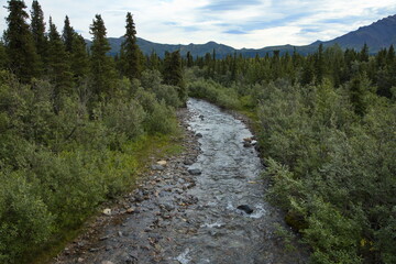 Fototapeta na wymiar Creek in Denali National Park and Preserve,Alaska,United States,North America 