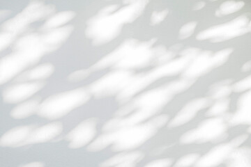 Abstract  shadow and light of gray natural leaves background on white wall.Shadow overlay effect for foliage mockup, banner graphic layout
